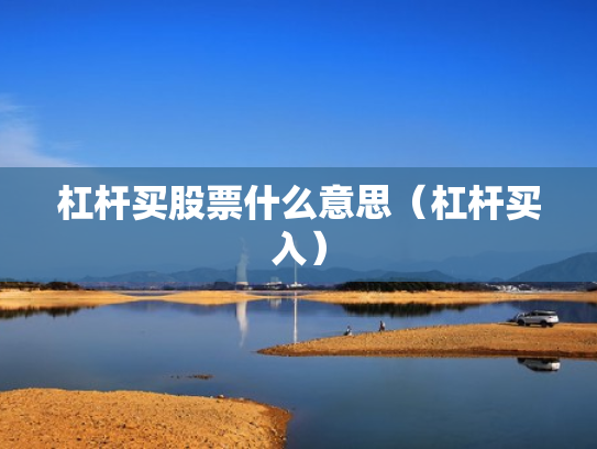 杠杆买股票什么意思（杠杆买入）