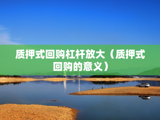 质押式回购杠杆放大（质押式回购的意义）