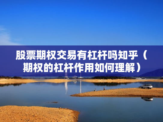 股票期权交易有杠杆吗知乎（期权的杠杆作用如何理解）