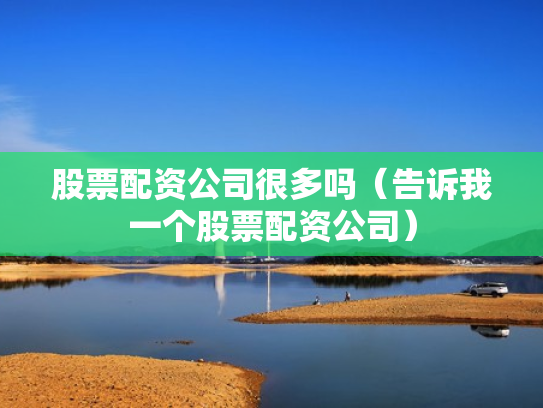 股票配资公司很多吗（告诉我一个股票配资公司）