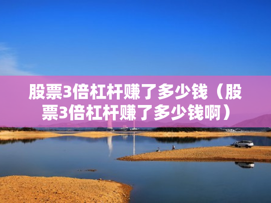 股票3倍杠杆赚了多少钱（股票3倍杠杆赚了多少钱啊）