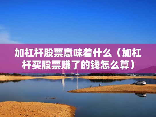 加杠杆股票意味着什么（加杠杆买股票赚了的钱怎么算）