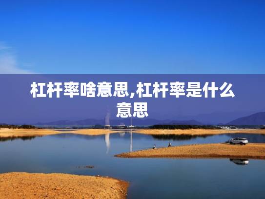 杠杆率啥意思,杠杆率是什么意思