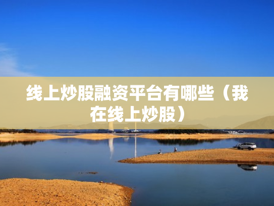 线上炒股融资平台有哪些（我在线上炒股）