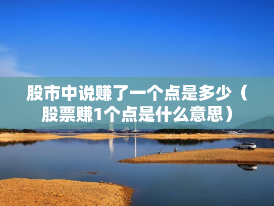 股市中说赚了一个点是多少（股票赚1个点是什么意思）