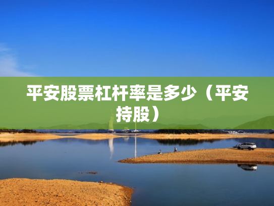 平安股票杠杆率是多少（平安持股）