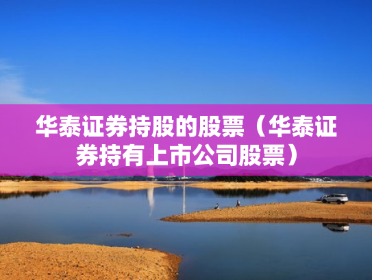 华泰证券持股的股票（华泰证券持有上市公司股票）