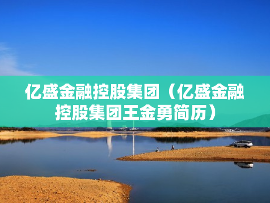 亿盛金融控股集团（亿盛金融控股集团王金勇简历）