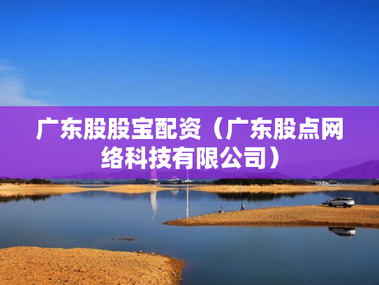 广东股股宝配资（广东股点网络科技有限公司）