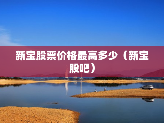 新宝股票价格最高多少（新宝股吧）