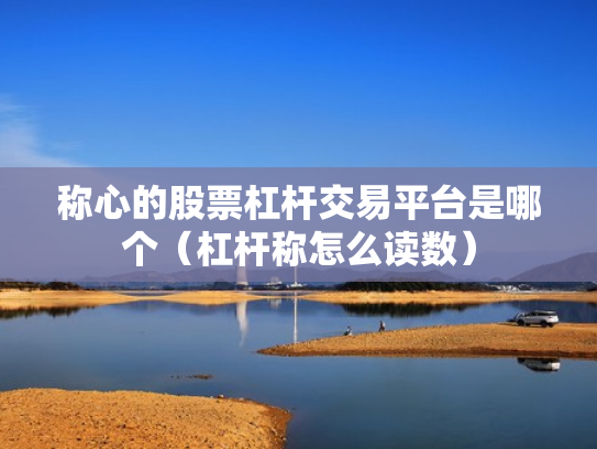 称心的股票杠杆交易平台是哪个（杠杆称怎么读数）