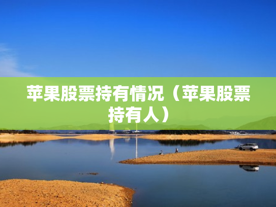 苹果股票持有情况（苹果股票持有人）