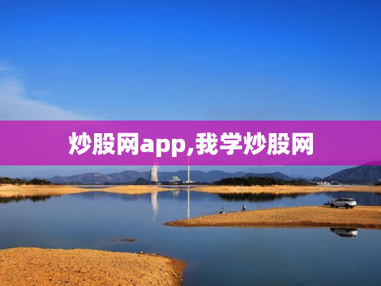 炒股网app,我学炒股网