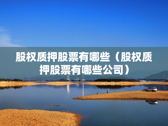 股权质押股票有哪些（股权质押股票有哪些公司）