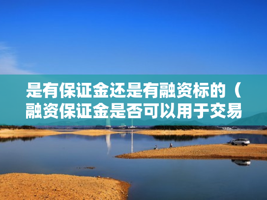 是有保证金还是有融资标的（融资保证金是否可以用于交易）