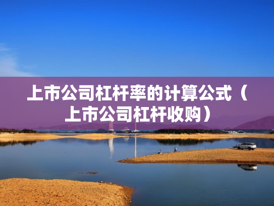 上市公司杠杆率的计算公式（上市公司杠杆收购）