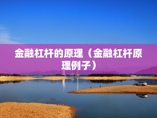 金融杠杆的原理（金融杠杆原理例子）