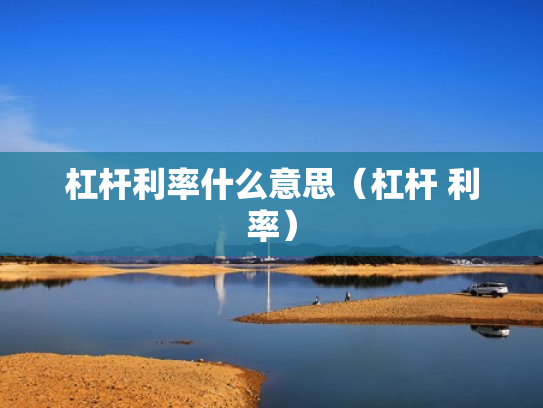杠杆利率什么意思（杠杆 利率）