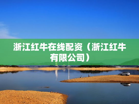 浙江红牛在线配资（浙江红牛有限公司）