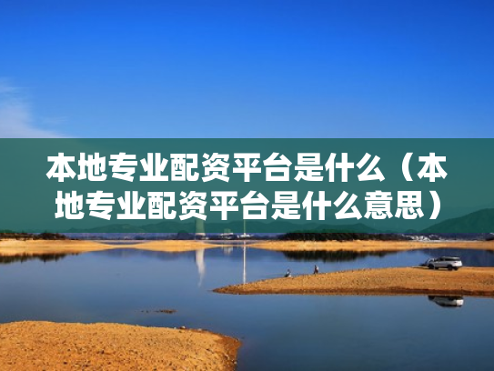 本地专业配资平台是什么（本地专业配资平台是什么意思）
