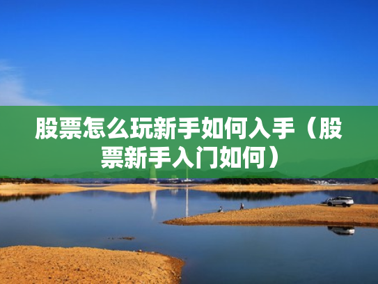股票怎么玩新手如何入手（股票新手入门如何）