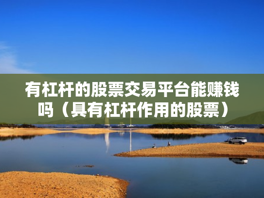 有杠杆的股票交易平台能赚钱吗（具有杠杆作用的股票）