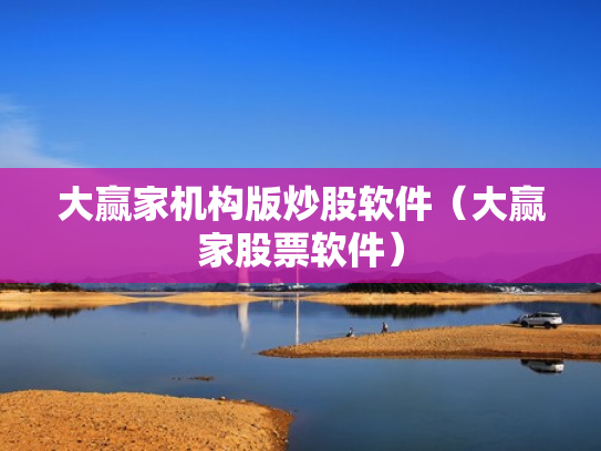 大赢家机构版炒股软件（大赢家股票软件）