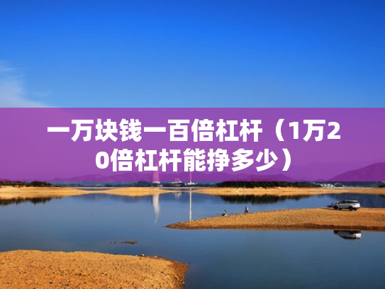 一万块钱一百倍杠杆（1万20倍杠杆能挣多少）