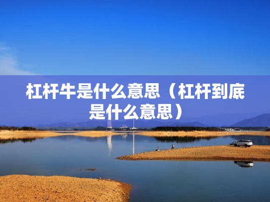 杠杆牛是什么意思（杠杆到底是什么意思）