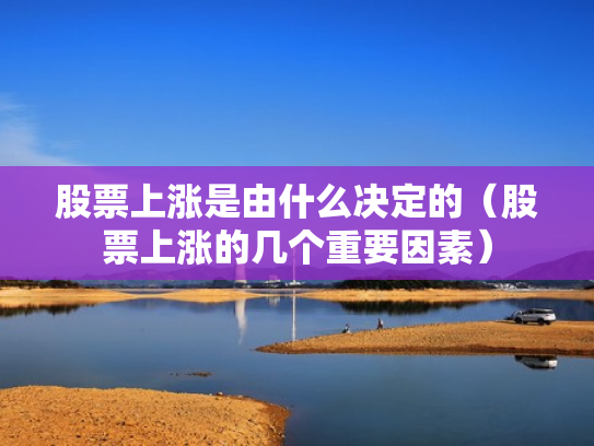 股票上涨是由什么决定的（股票上涨的几个重要因素）