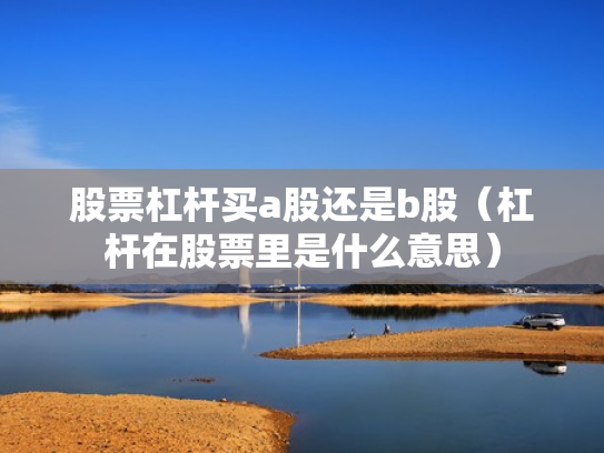 股票杠杆买a股还是b股（杠杆在股票里是什么意思）
