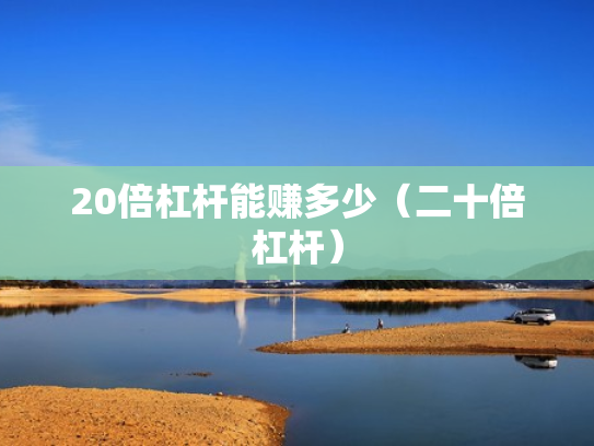 20倍杠杆能赚多少（二十倍杠杆）
