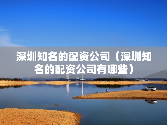 深圳知名的配资公司（深圳知名的配资公司有哪些）