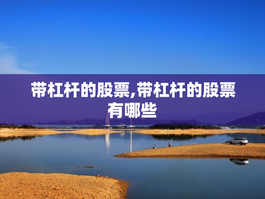 带杠杆的股票,带杠杆的股票有哪些