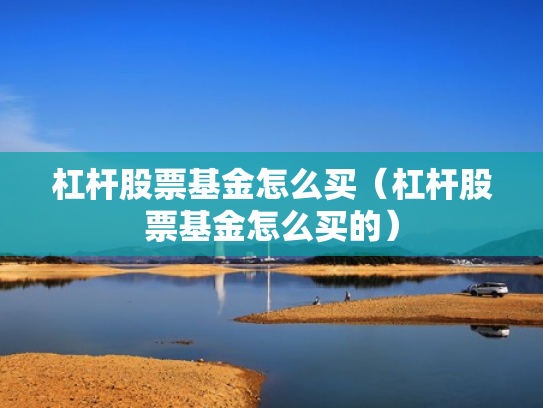 杠杆股票基金怎么买（杠杆股票基金怎么买的）