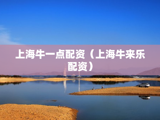 上海牛一点配资（上海牛来乐配资）