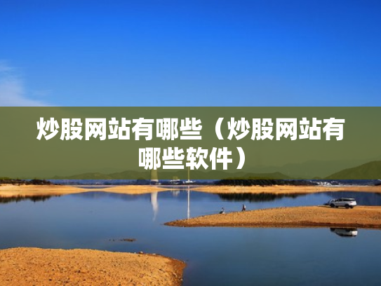 炒股网站有哪些（炒股网站有哪些软件）