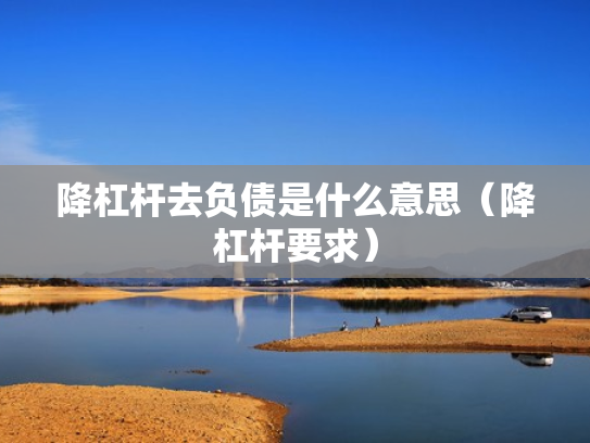 降杠杆去负债是什么意思（降杠杆要求）