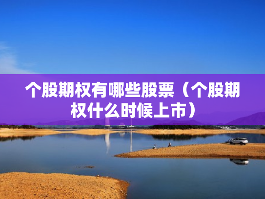 个股期权有哪些股票（个股期权什么时候上市）