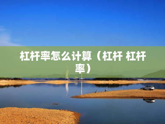 杠杆率怎么计算（杠杆 杠杆率）