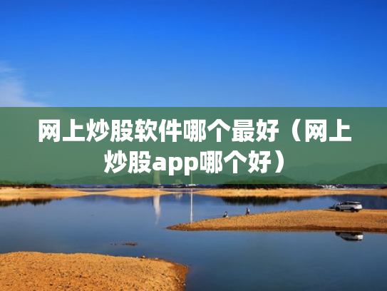 网上炒股软件哪个最好（网上炒股app哪个好）