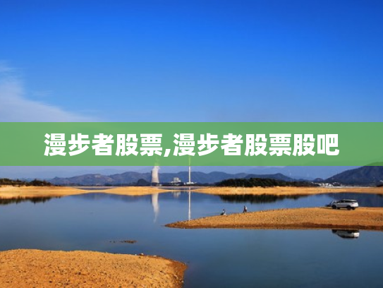 漫步者股票,漫步者股票股吧