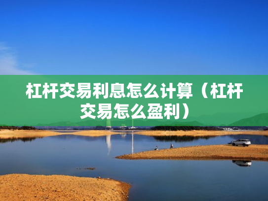 杠杆交易利息怎么计算（杠杆交易怎么盈利）