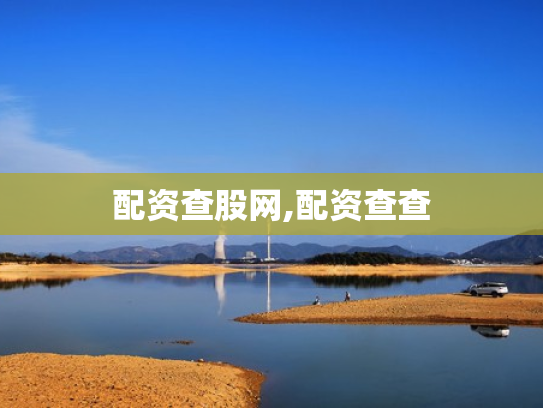 配资查股网,配资查查