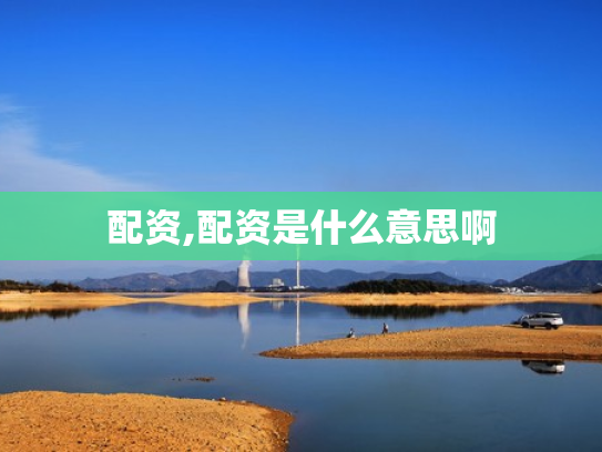 配资,配资是什么意思啊