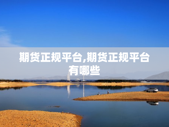 期货正规平台,期货正规平台有哪些