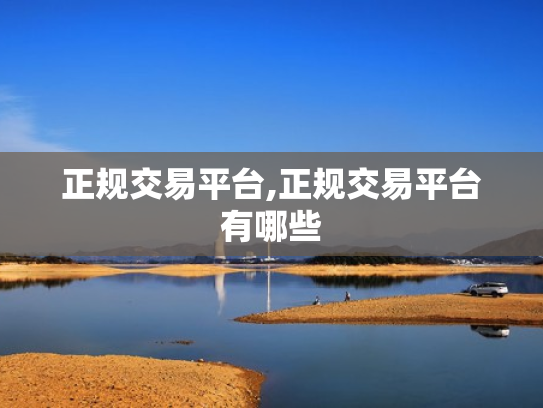 正规交易平台,正规交易平台有哪些