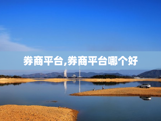 券商平台,券商平台哪个好