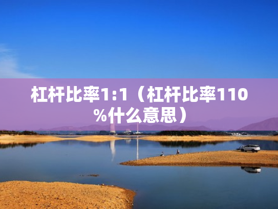 杠杆比率1:1（杠杆比率110%什么意思）