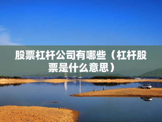股票杠杆公司有哪些（杠杆股票是什么意思）